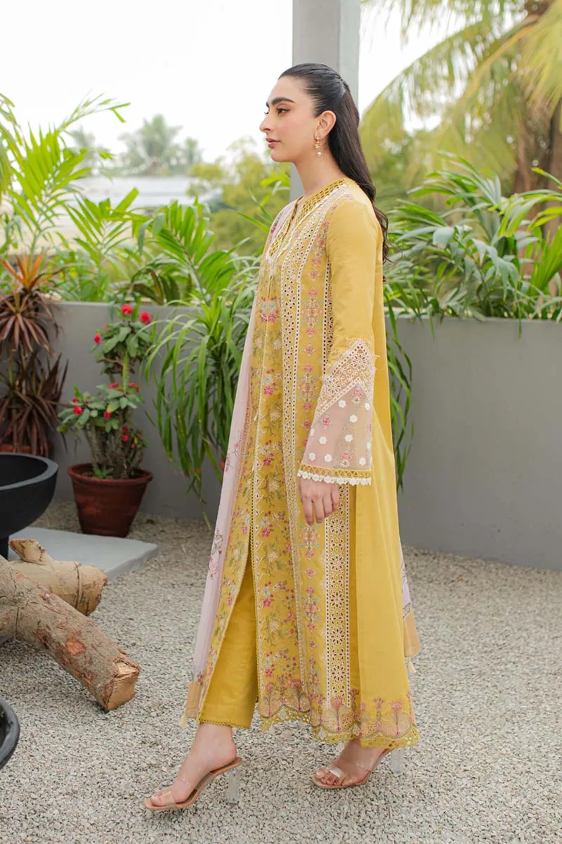 Qalamkar Qline Lawn Edit – JK-15 MIEL